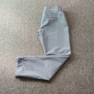 Express Editor Pants